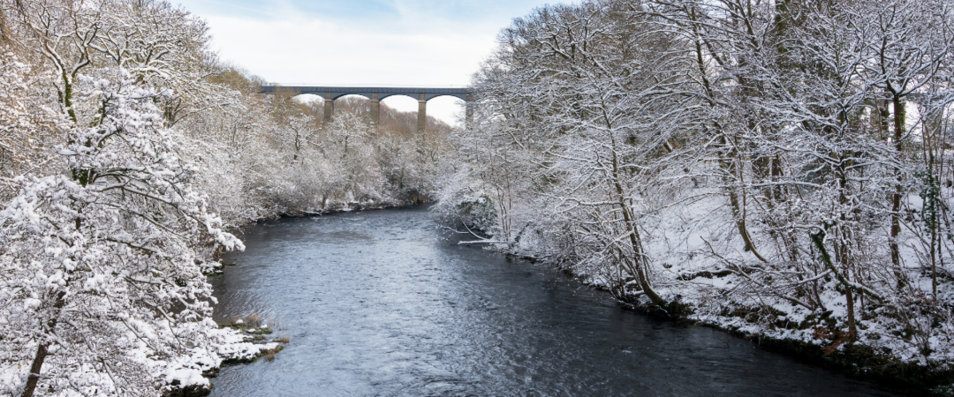 EdTalks®: Bridging Completion & Connections